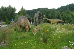 Wycieczka rodzin do Bałtowa